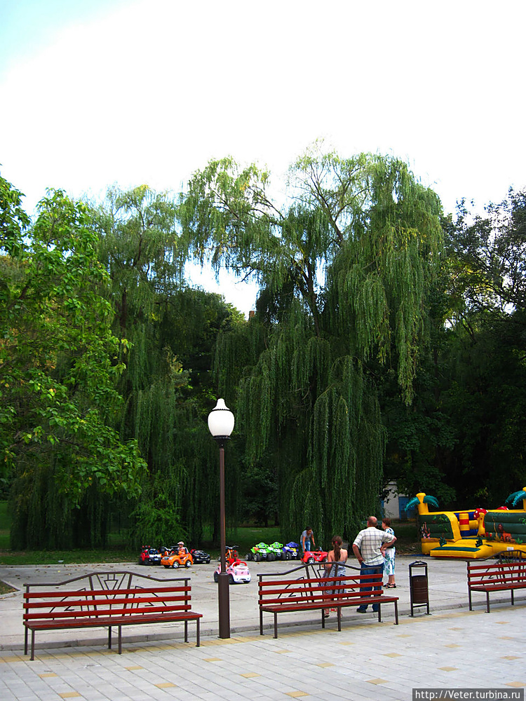 Плакучая ива просто велик Плакучая ива просто велик