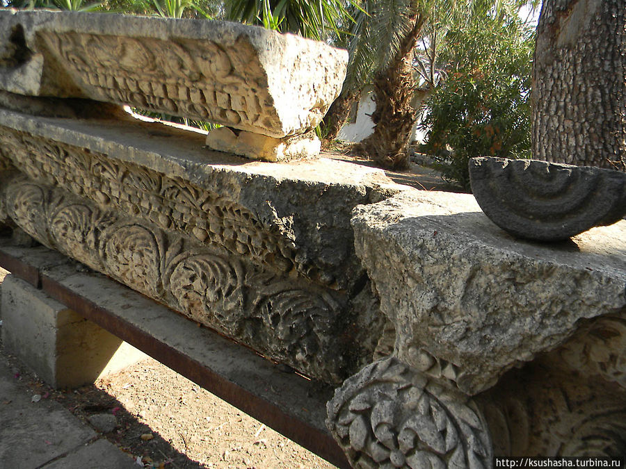Весь Капернаум. Святые места в Верхней Галлилее Капернаум, Израиль