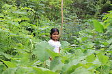 Дочь джунглей