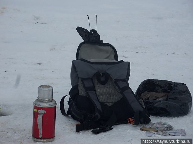 Рыбалка с женским лицом Долинск, Россия