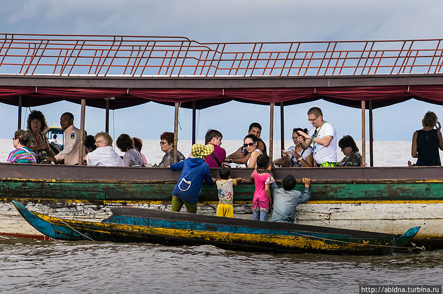 А вот и попрошайки А вот и попрошайки