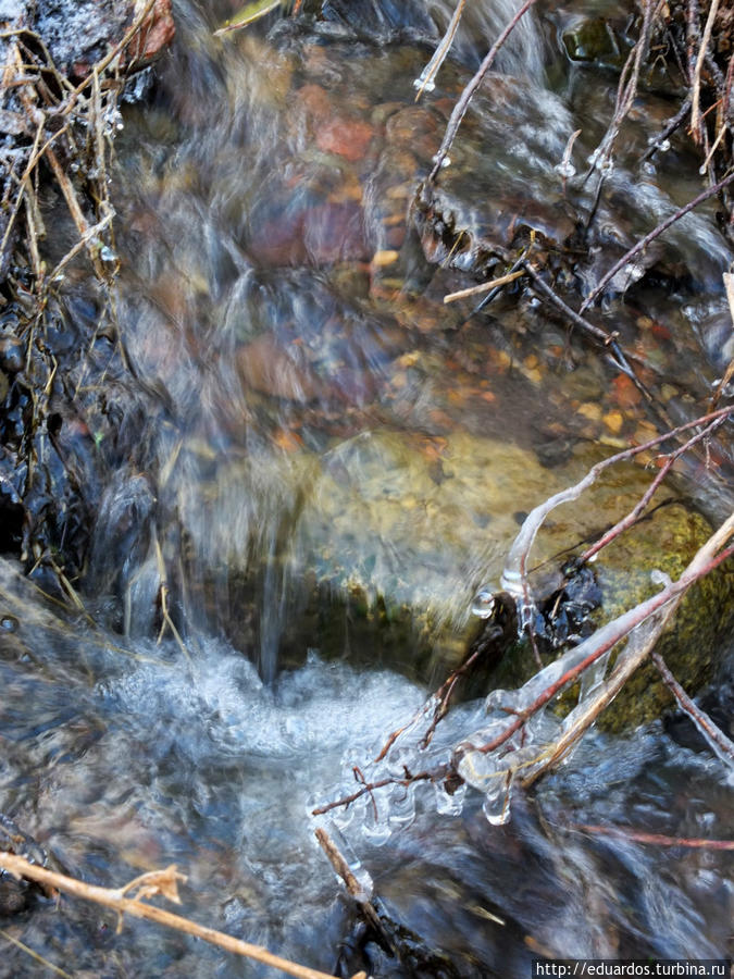 Оттаиваем и зеленеем))) Красноярск, Россия Оттаиваем и зеленеем))) Красноярск, Россия