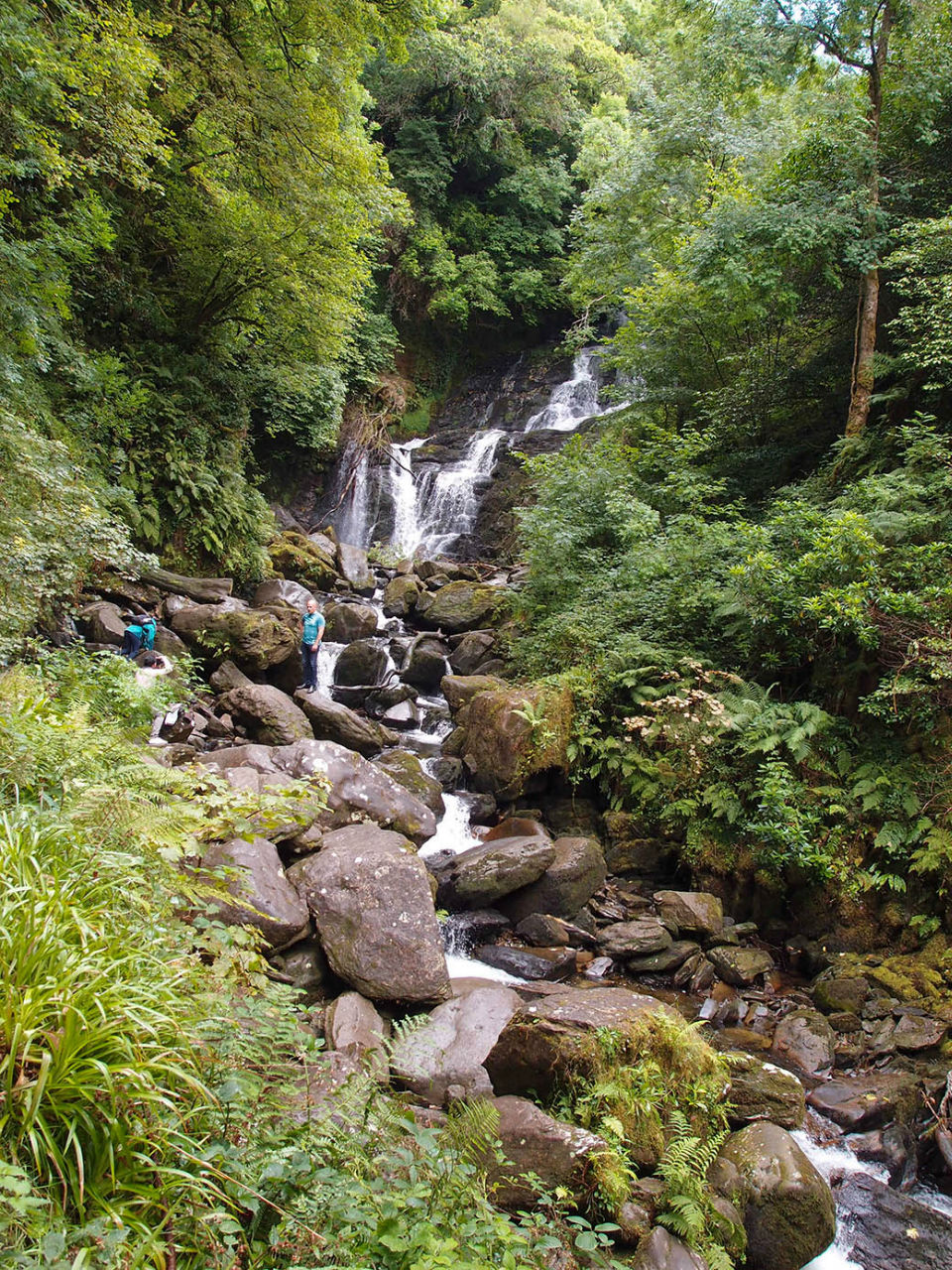 Водопад Торк Национальный парк Килларни, Ирландия
