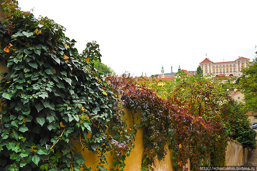 Яркие краски. Яркие краски.