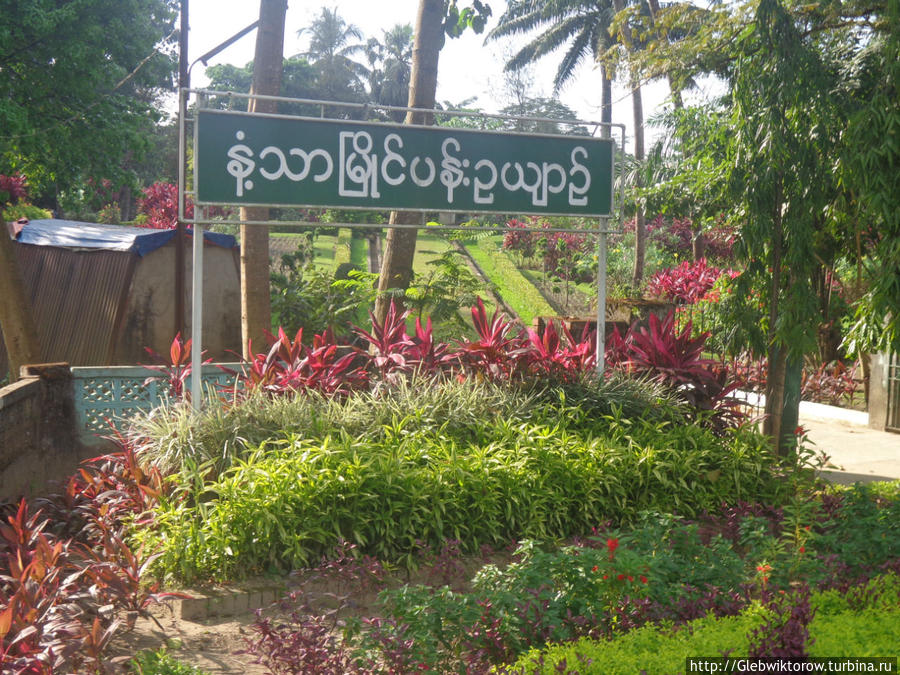 Garden Insein