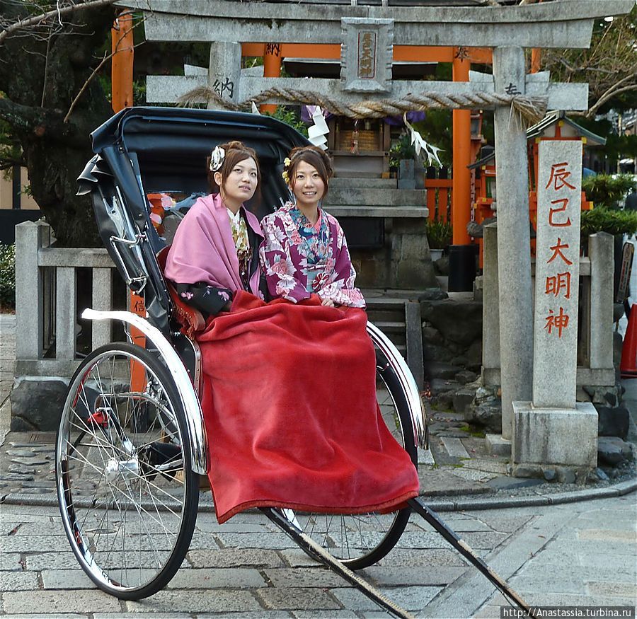 Цапли и девушки Киото, Япония