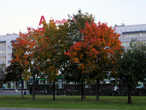 Золотая осень на эспланаде — громадном зеленом пространстве, украшающем центр города