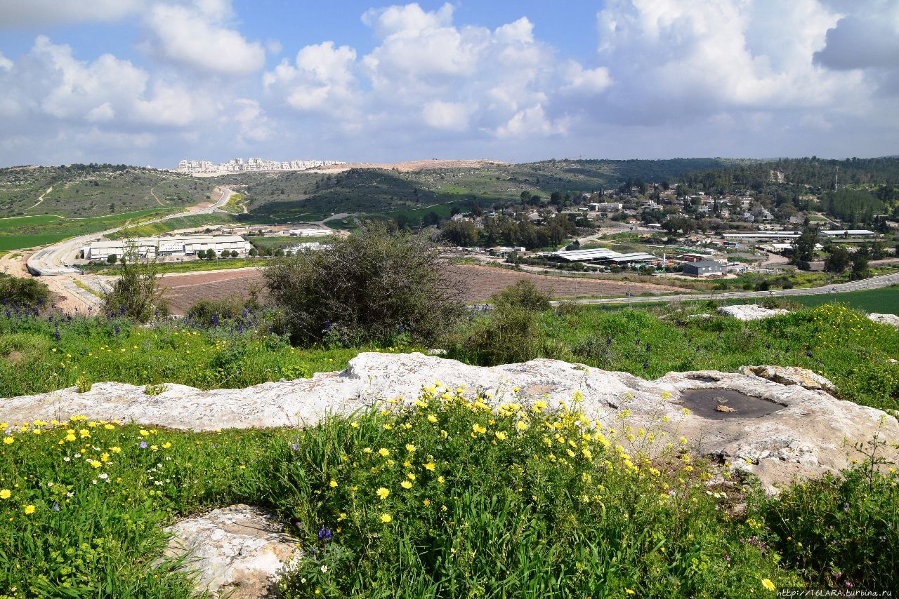 Израиль – Эмек hа-Эла – Цветение люпинов – Давид и Голиаф Долина Эла, Израиль