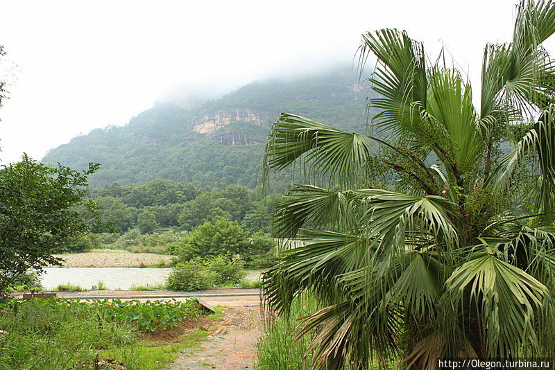 Деревня пропитанная запахом чая Уишань, Китай Деревня пропитанная запахом чая Уишань, Китай