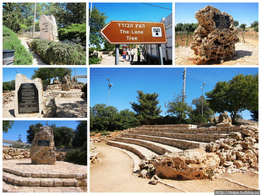 Мемориал у Одиночного дерева Иудея и Самария, Израиль