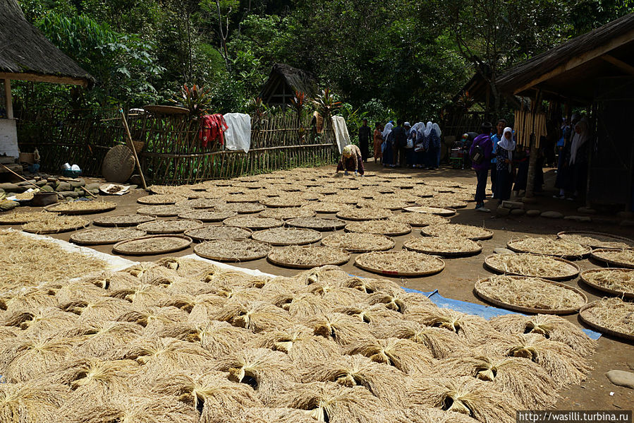 Основной рис на главной площади. Основной рис на главной площади.