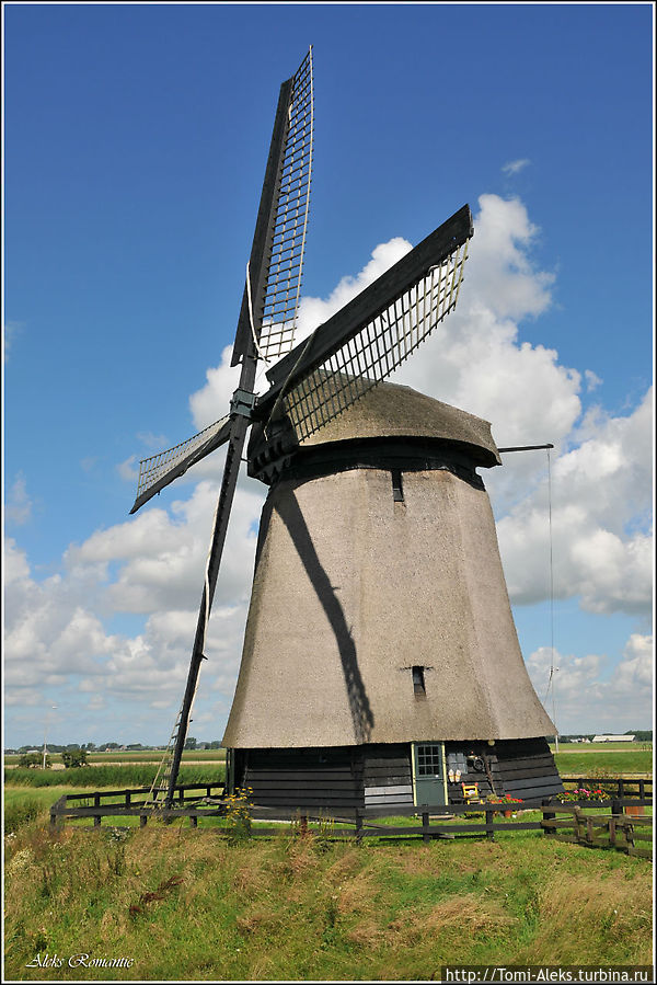 В стране ветряных мельниц Нидерланды
