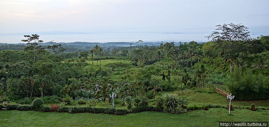 Утренний вид из отеля Queen Garden. Утренний вид из отеля Queen Garden.