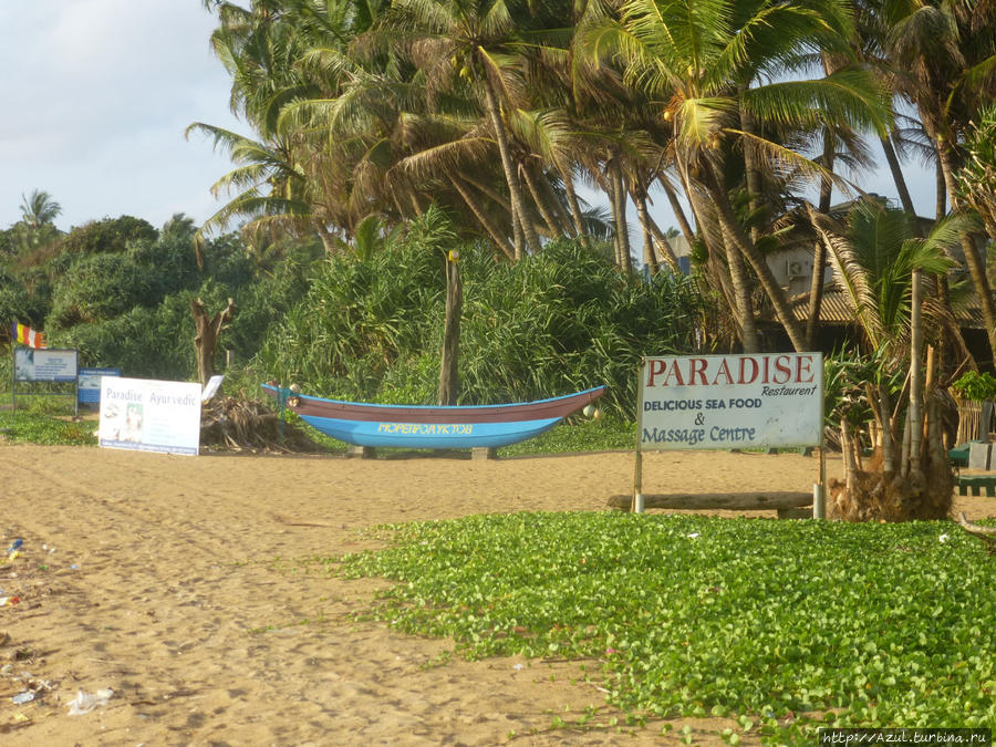 Парадиз — ресторанчик на пляже + массаж у Дилипа Калутара, Шри-Ланка