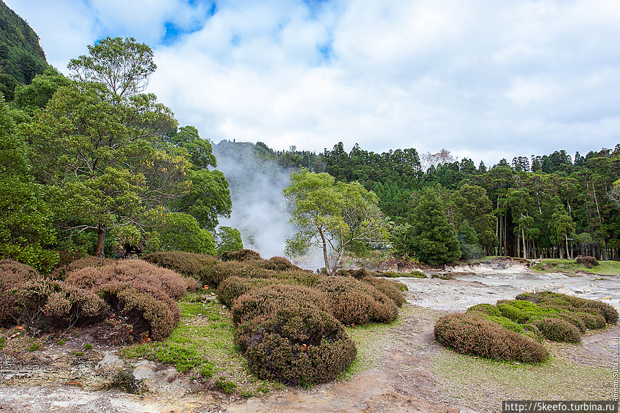 Ботанический сад юрского периода и кипящие воды Фурнаша Остров Сан-Мигел, Португалия