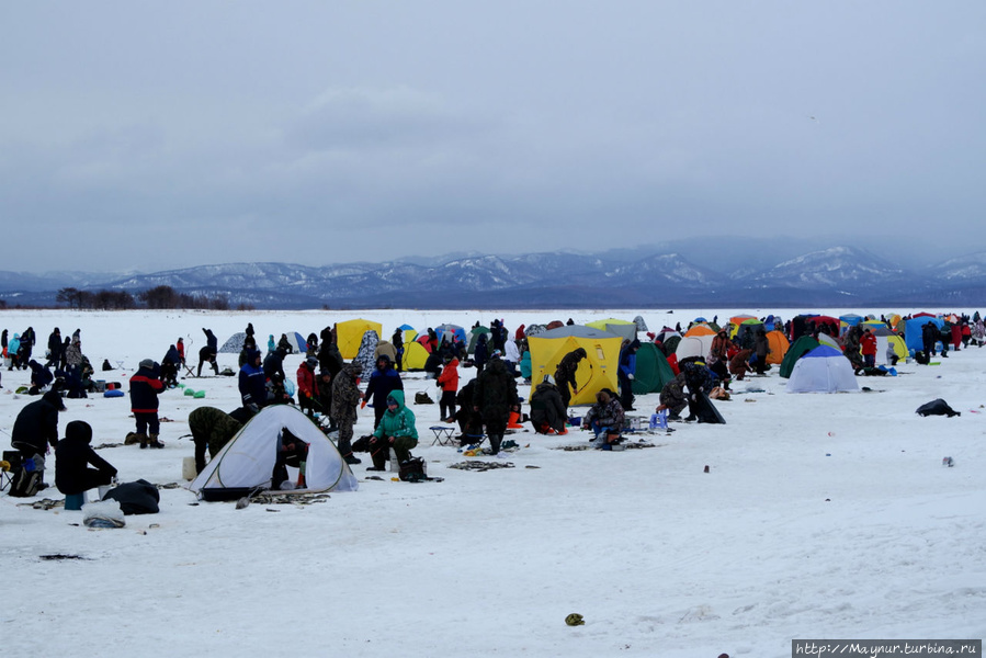 Азарт, умение и везение... Южно-Сахалинск, Россия Азарт, умение и везение... Южно-Сахалинск, Россия