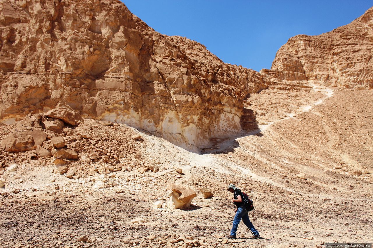 Каньон Вардит Арава Пустыня, Израиль
