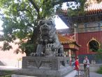 Храм Юнхэгун. Скульптура львицы