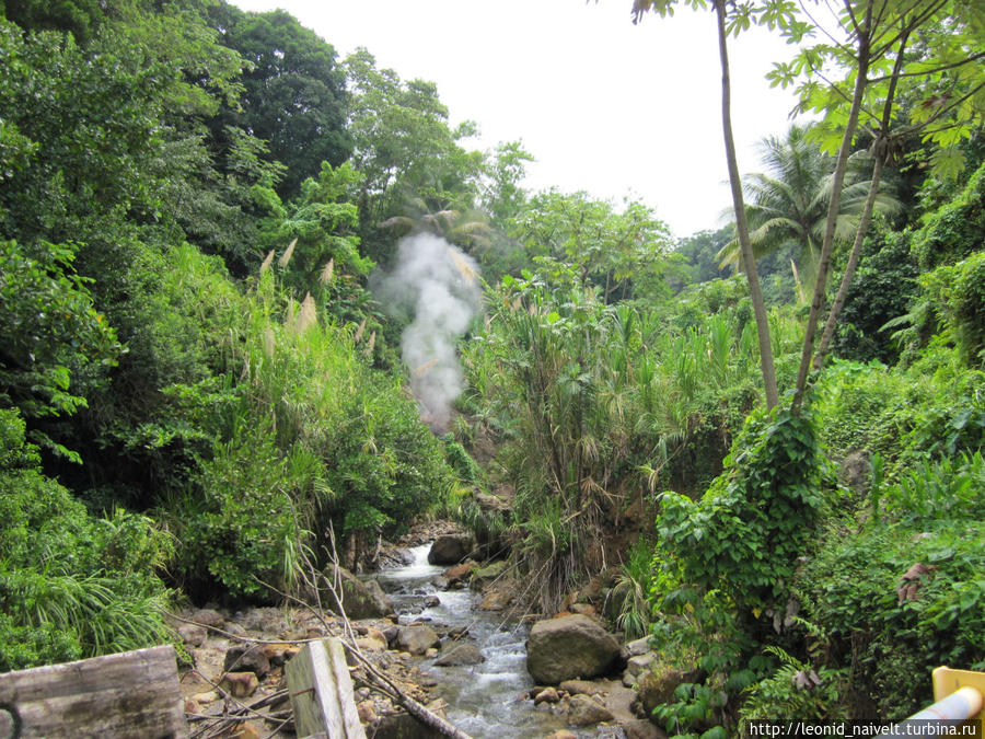 Доминика. Пароним Доминиканы Доминика Доминика. Пароним Доминиканы Доминика