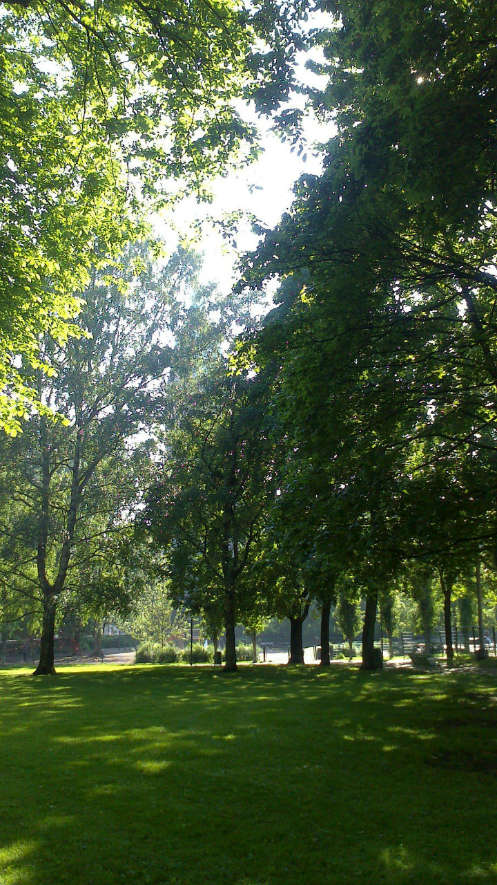 Солнце пробивается сквозь густые кроны парковых деревьев. Парки не такие большие по сравнению с нашими, но на фоне города в целом их вполне достаточно. Хельсинки, Финляндия