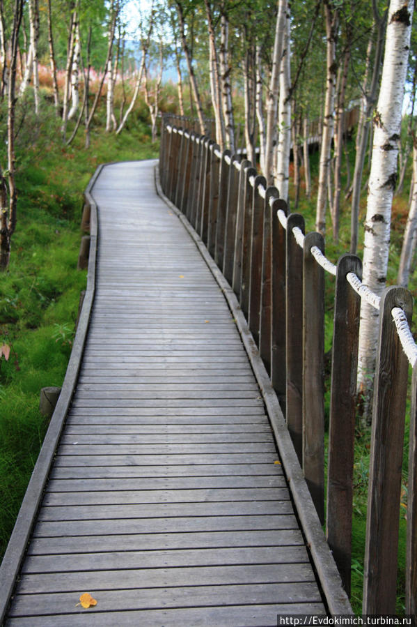 Все тропинки в по территории музея проходят по деревянным мосткам,что бы не мять северную растительность,которая очень долго восстанавливается. Альта, Норвегия