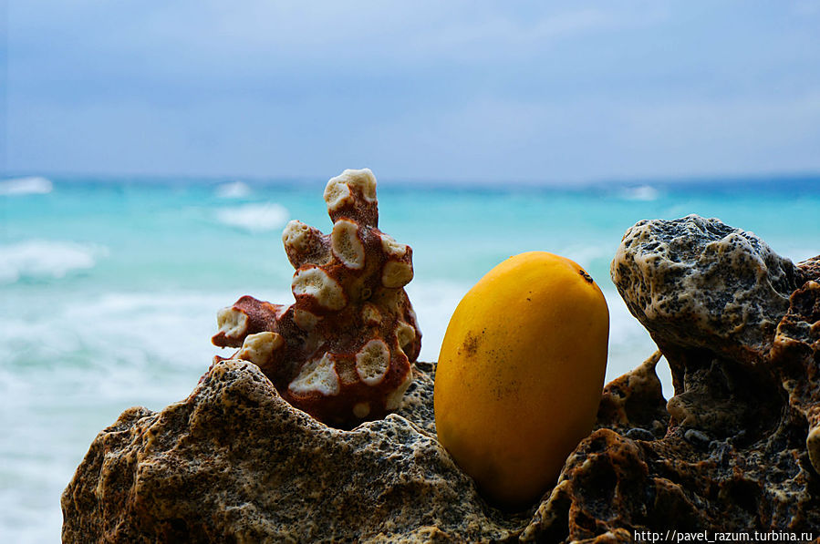 Коралл и манго Остров Боракай, Филиппины