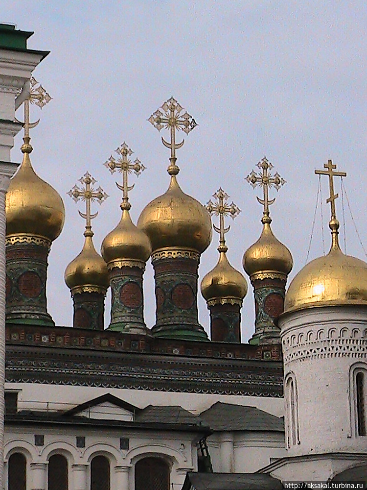 Кремль. Маковки куполов ц