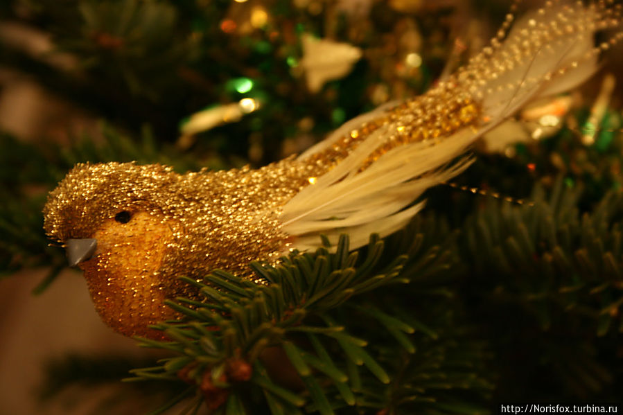 С Новым Годом!!! С Новым Годом!!!