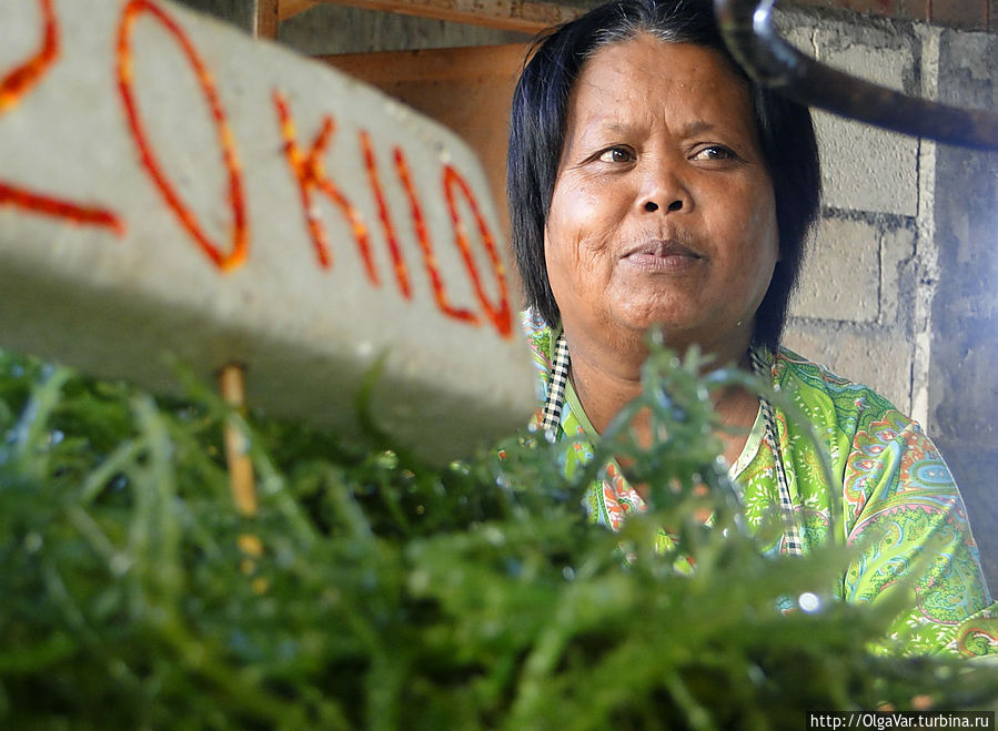 Продавец морской травы Продавец морской травы