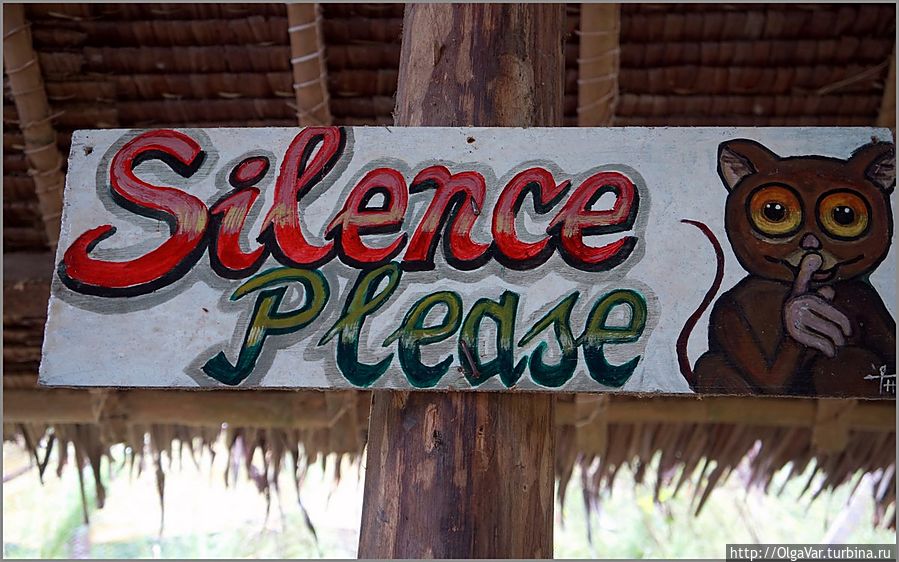 *Пожалуйста, не шумите....Тарсиеры очень пугливые существа, поэтому лучше соблюдать тишину и не пугать зверушек Остров Бохол, Филиппины