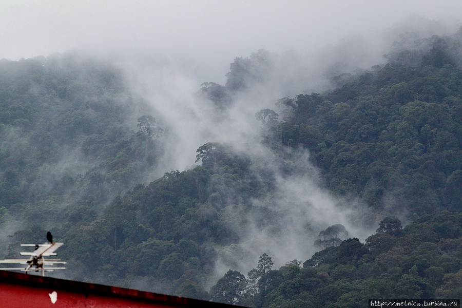 Испарения из горных впадин парка Гунунг Гадинг Кучинг, Малайзия