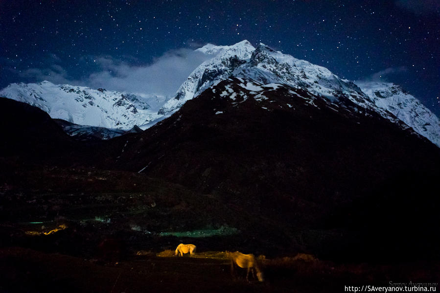 Самдо Пик, лошадки в ночи Зона Гандаки, Непал