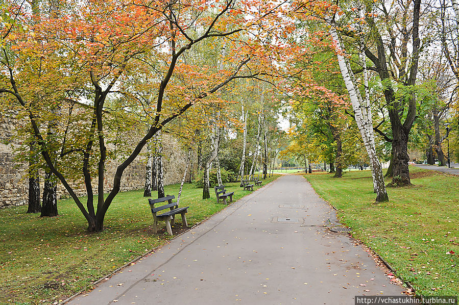 Парк на Петришинских холмах. Чудесная осень... Парк на Петришинских холмах. Чудесная осень...