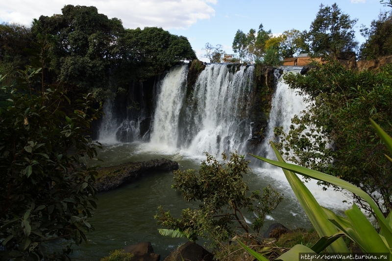 Водопад Лилии Мадагаскар