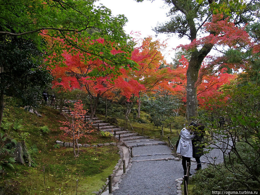 На тропинках сада в Тенрюдзи На тропинках сада в Тенрюдзи
