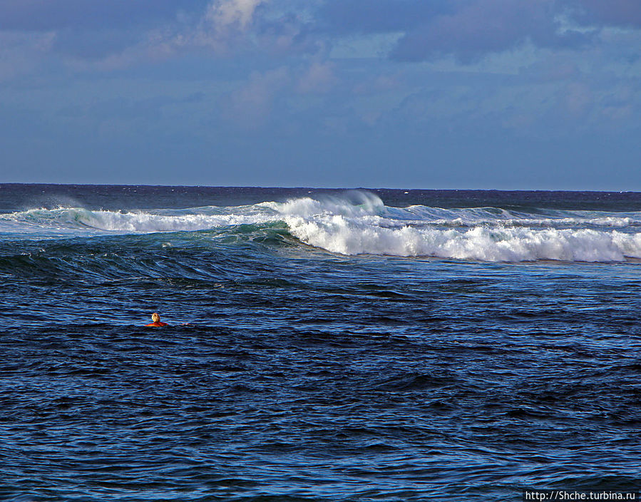 Вот единственный одинокий купальщик — не серфер. Молодец. Кауэла-Бэй, остров Оаху, CША