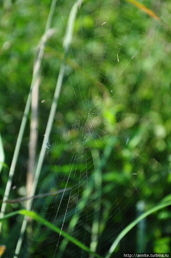 Вернуться в лето Вернуться в лето