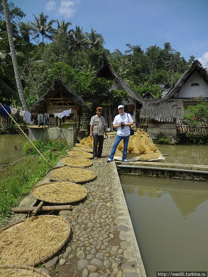 В деревне. В деревне.