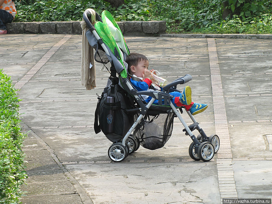 Зоопарк Гуанджоу Гуанчжоу, Китай Зоопарк Гуанджоу Гуанчжоу, Китай