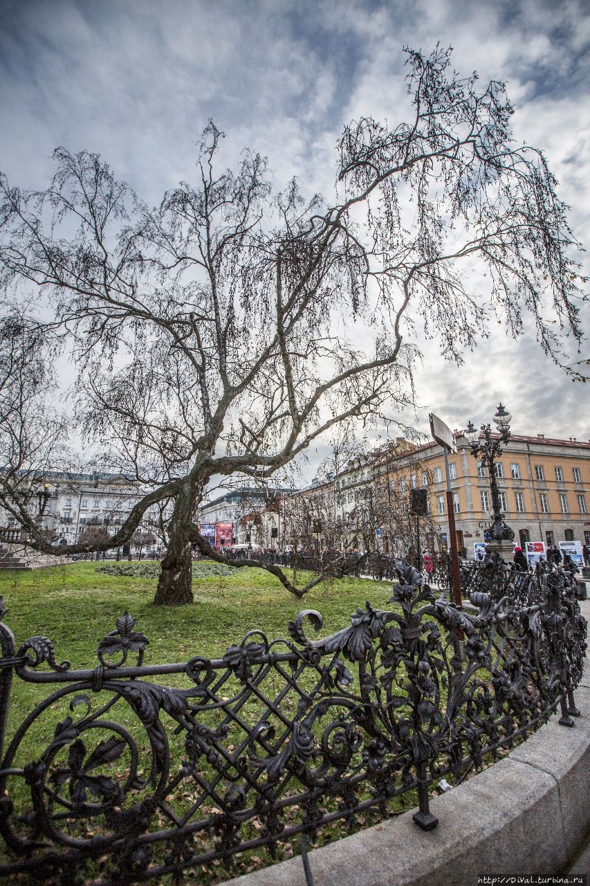 Варшава накануне Рождества Варшава, Польша Варшава накануне Рождества Варшава, Польша