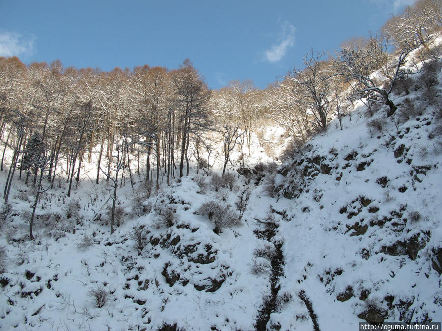 Фото вершины соседнего склона сделанное на зуме. Обезьяны покупавшись и немного подкрепившись, уходят в горы. На фото их трудно различить между чёрными прогалинами в снегу, но по движению видно. Нагано, Япония