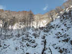 Фото вершины соседнего склона сделанное на зуме. Обезьяны покупавшись и немного подкрепившись, уходят в горы. На фото их трудно различить между чёрными прогалинами в снегу, но по движению видно.