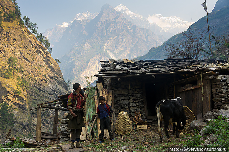 Жизнь на краю. Буквально. Жизнь на краю. Буквально.