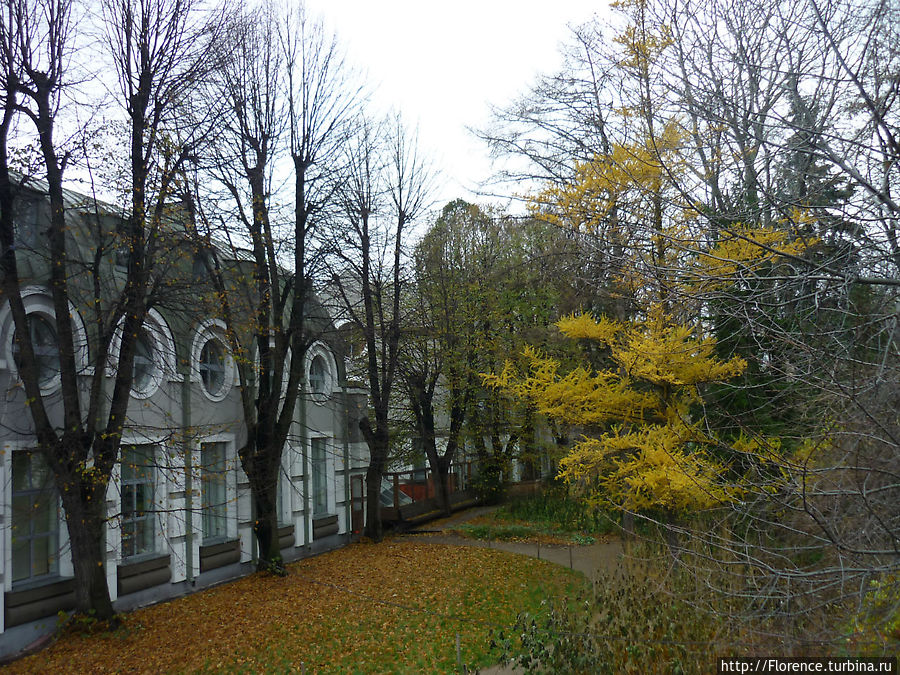 Последний парад осени Москва, Россия Последний парад осени Москва, Россия