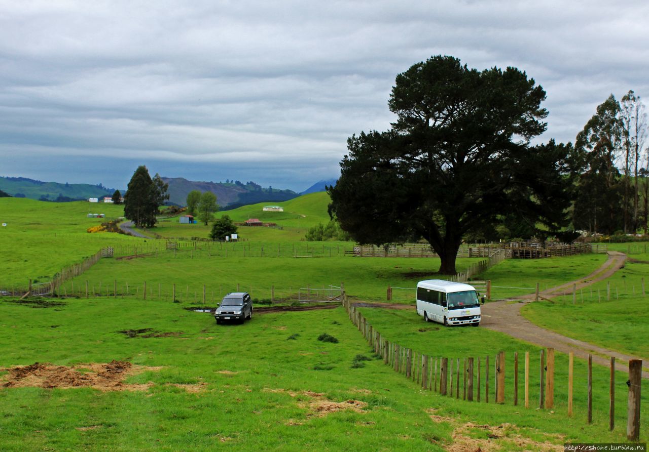 Маори — такие грозные, такие гостеприимные Оракеи Корако геотермальная зона, Новая Зеландия