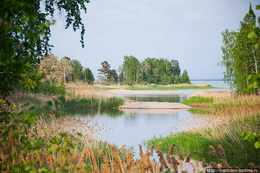 На острове Шумского Крдона. На острове Шумского Крдона.