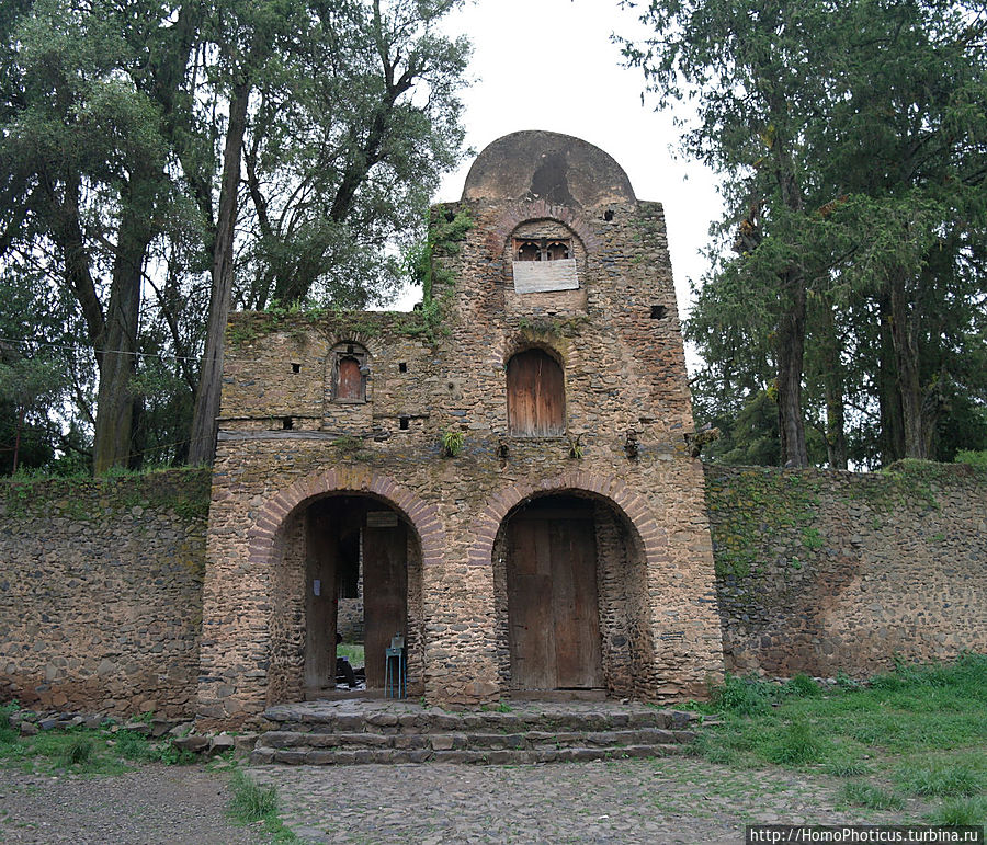 Дербре Берхан Селассие, вход в виде льва :) Дербре Берхан Селассие, вход в виде льва :)