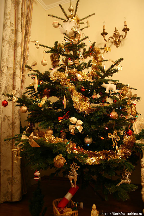 С Новым Годом!!! С Новым Годом!!!