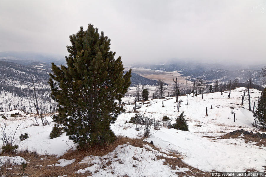 21 января
Семинский перевал Республика Алтай, Россия