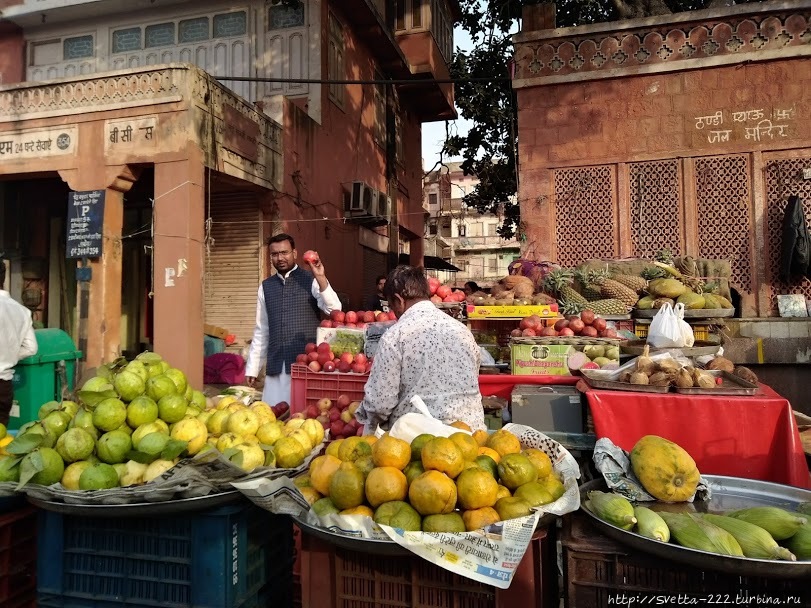 Гид выбирает нам фрукты на рыночке. Индия